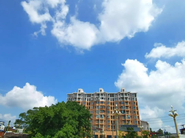 安逸、幸福！一起来看镜头里的“荣县蓝”(图1)