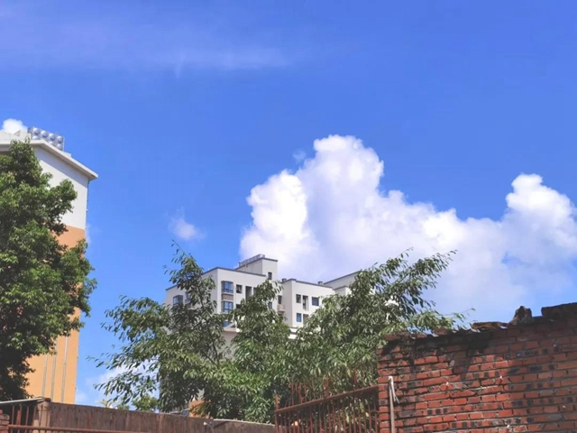 安逸、幸福！一起来看镜头里的“荣县蓝”(图2)