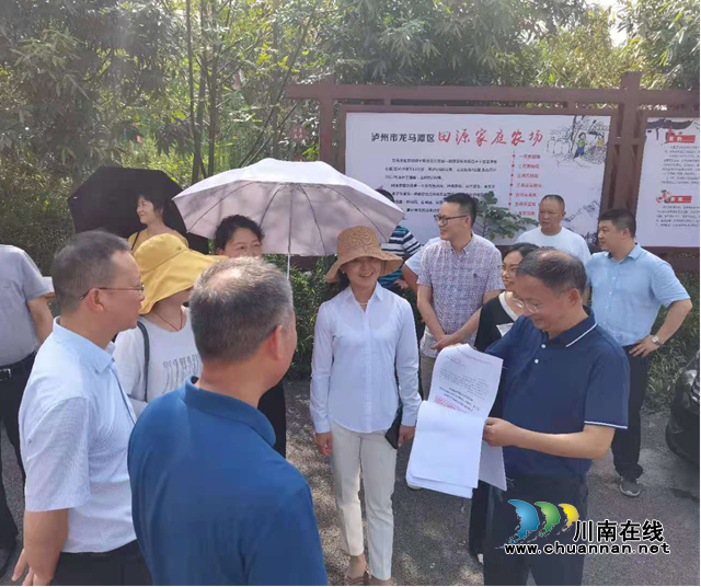 省督导组到龙马潭区督导“大棚房”清理整治专项行动“回头看”工作