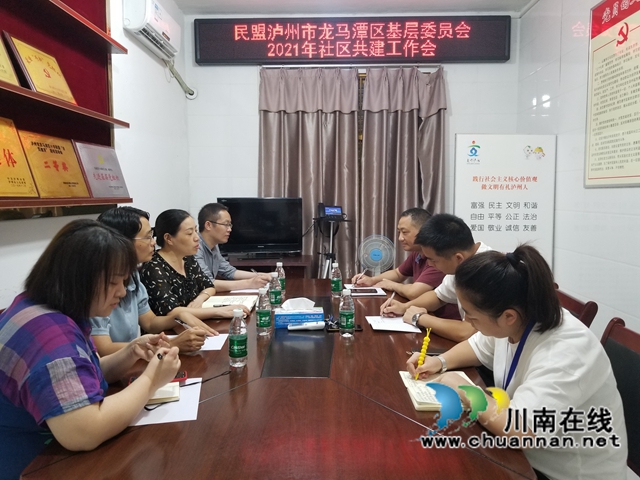 凝心聚力·共建共享｜民盟龙马潭区基层委员会与下大街社区召开共建座谈会