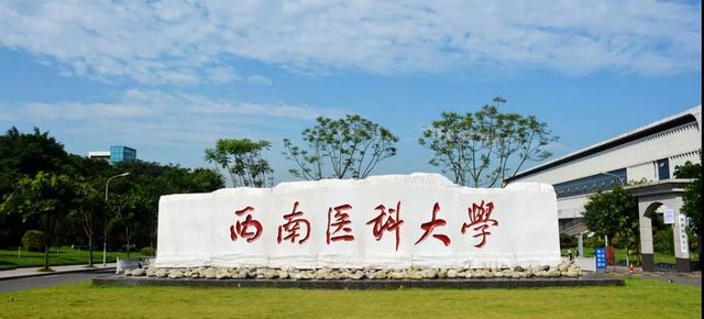 泸州拟引进急需紧缺人才1327人，即日起线上报名(图3)