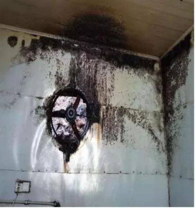 泸州市食品安全“红黑榜”(第九期)(图11) 泸州市食品安全“红黑榜”(第九期)(图11)