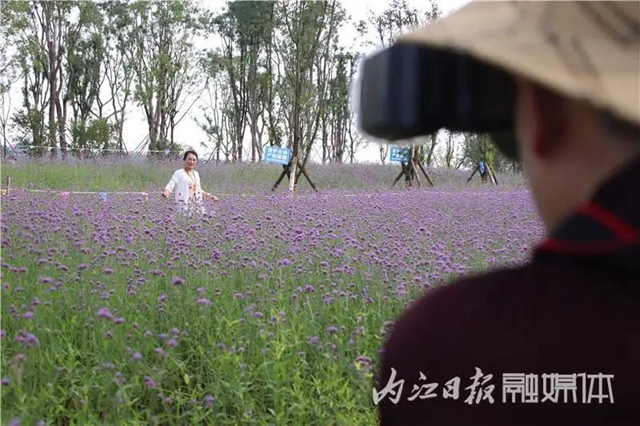 变得不敢相信！内江大自然湿地公园要来啦！(图12)