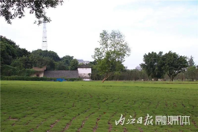 变得不敢相信！内江大自然湿地公园要来啦！(图2)