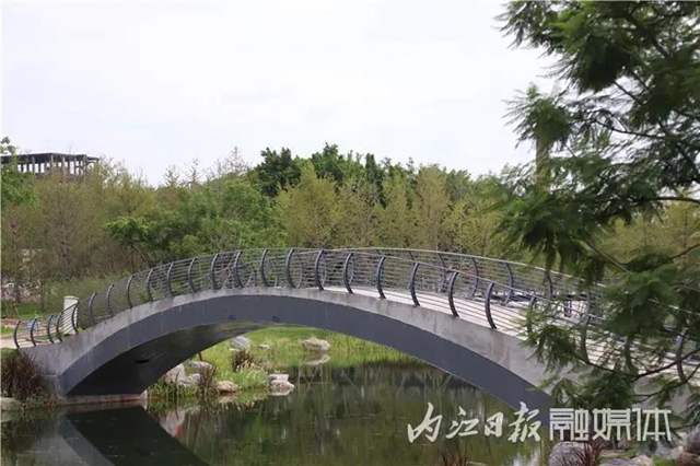 变得不敢相信！内江大自然湿地公园要来啦！(图3)