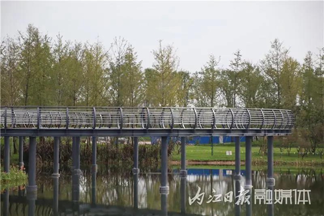 变得不敢相信！内江大自然湿地公园要来啦！(图7)