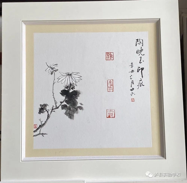 【喜报】实验校师生“泸县第十届校园艺术节”荣获26个奖项！(图8)