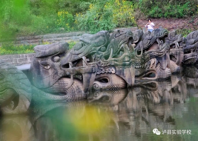 【喜报】实验校师生“泸县第十届校园艺术节”荣获26个奖项！(图23)