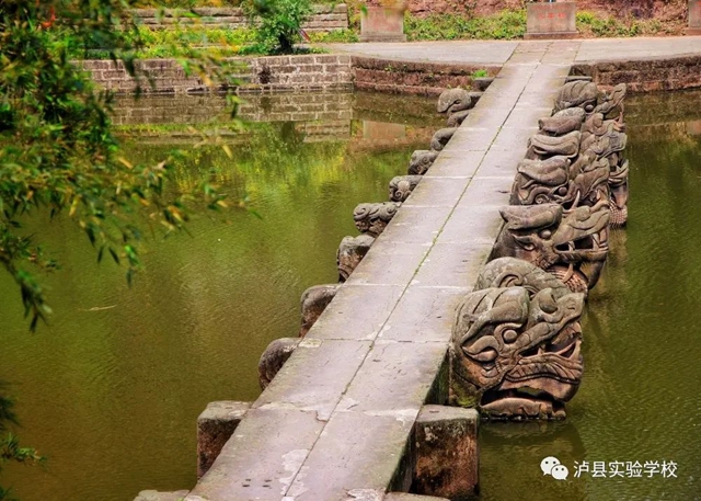 【喜报】实验校师生“泸县第十届校园艺术节”荣获26个奖项！(图24)