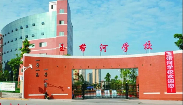 赞！高空下龙马潭的这些学校真美！(图7)