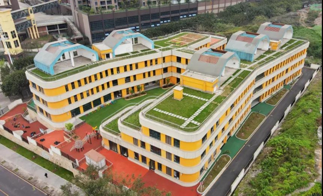 赞！高空下龙马潭的这些学校真美！(图8)