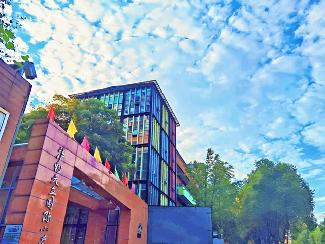 赞！高空下龙马潭的这些学校真美！(图4)