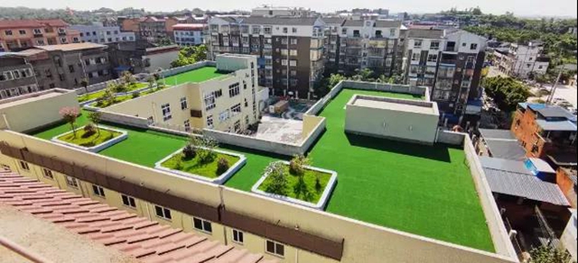 赞！高空下龙马潭的这些学校真美！(图11)