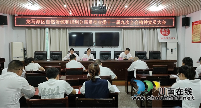 龙马潭区自然资源和规划分局机关党支部召开党史学习教育专题组织生活会