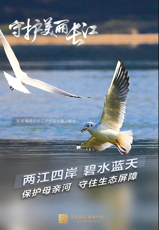 泸州禁渔新规开始施行，这些地方十年禁捕！(图2)