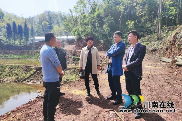 农民工变身副镇长，宜宾叙州区选好用好“领头羊”