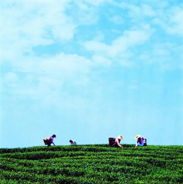 全国公布！宜宾这个村上榜！四川只有10地