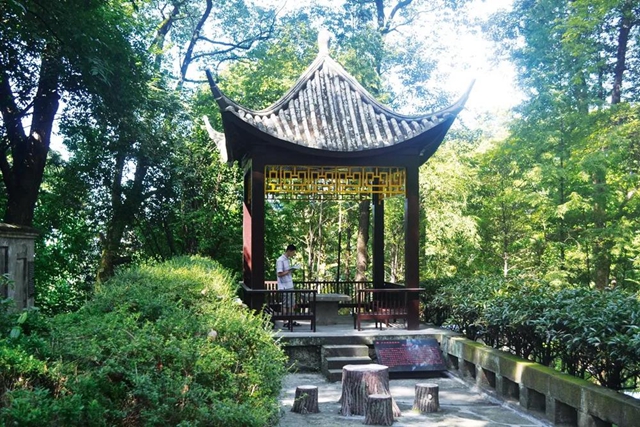 生日快乐！西南医大今天70岁了！(图4)