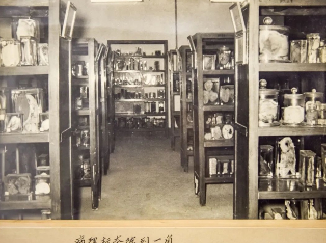 生日快乐！西南医大今天70岁了！(图39)