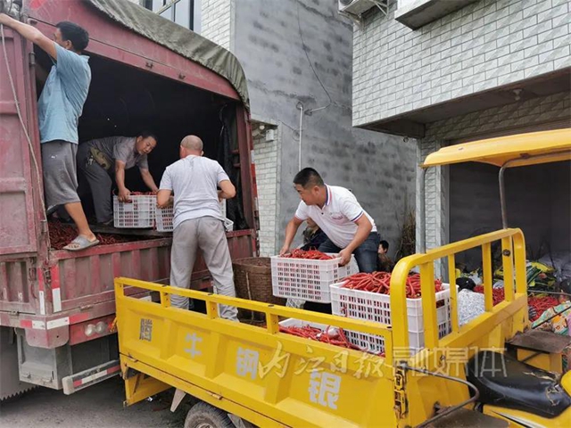 丰收！内江这里喜获“一片红”(图8)