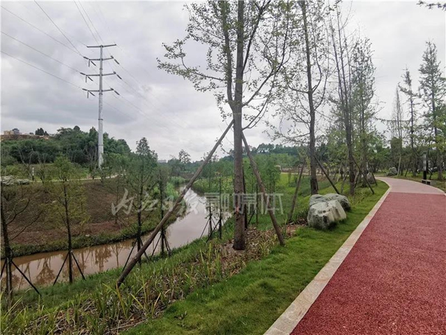 占地2万亩！一个全新的湿地公园在内江城郊“横空出世”(图6)