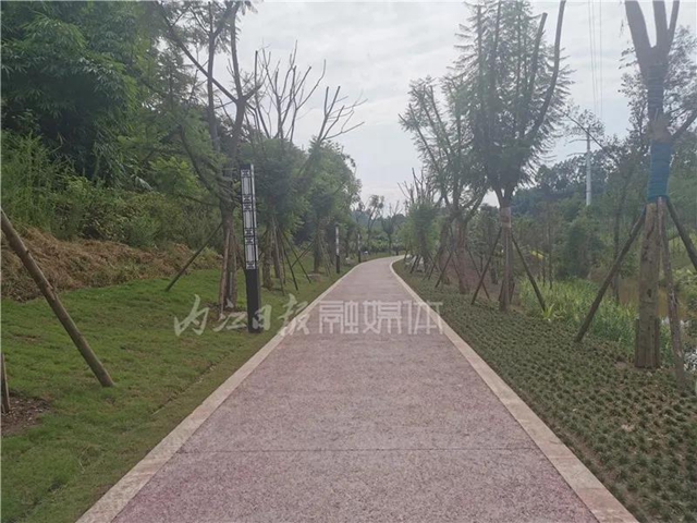 占地2万亩！一个全新的湿地公园在内江城郊“横空出世”(图3)