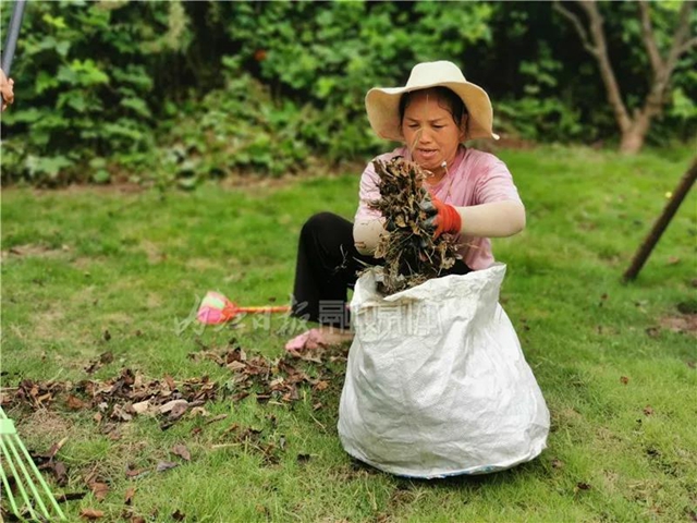 占地2万亩！一个全新的湿地公园在内江城郊“横空出世”(图4)