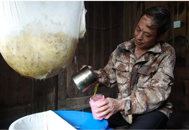 超甜！古蔺深山里的“甜蜜事业”……(图2)