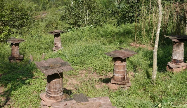 超甜！古蔺深山里的“甜蜜事业”……(图5)