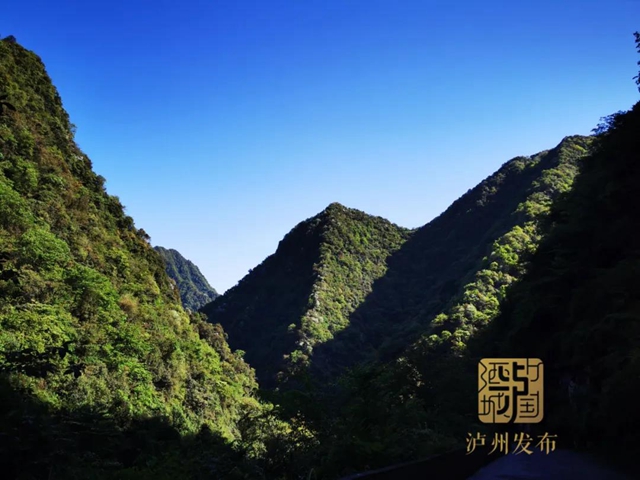 四川第二、泸州首例！古蔺黄荆老林自然保护中心成立(图3)