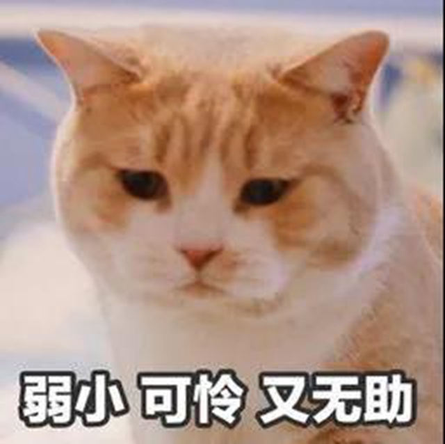 合江：“做社区、学校的急救英雄”，9月 10日与您相约！(图2)