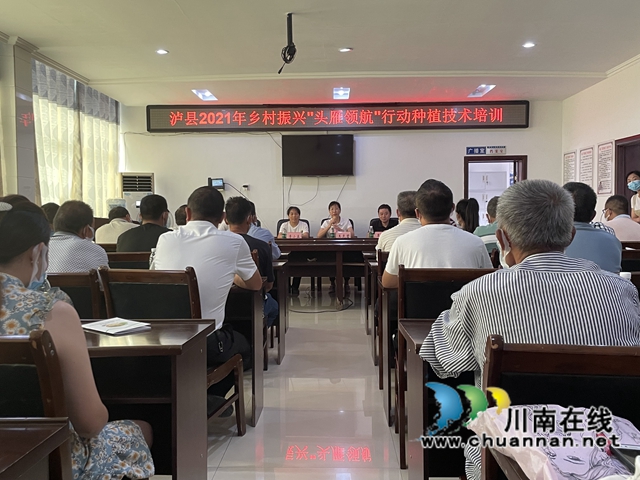 泸县云龙镇开展全国科普日活动(图1)
