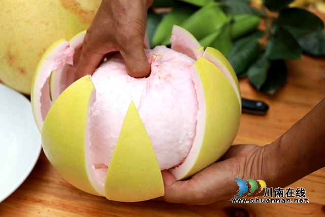 龙马潭：金秋果飘香，红心蜜柚开启返乡农民工甜蜜新生活(图6)