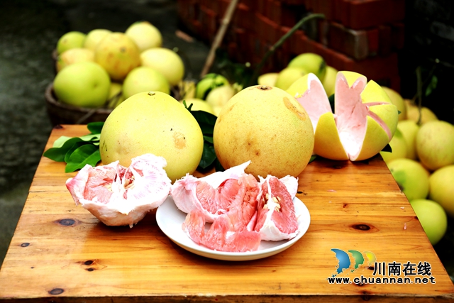 龙马潭：金秋果飘香，红心蜜柚开启返乡农民工甜蜜新生活(图7)