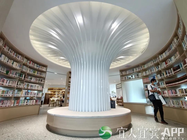  宜宾一高颜值书房免费开放！安排→(图2)