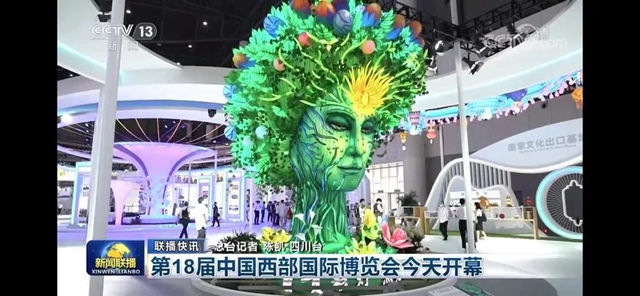 自贡这棵“树”火了！惊艳亮相央视《新闻联播》(图6)