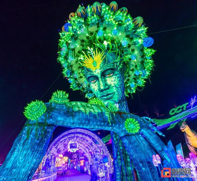 自贡这棵“树”火了！惊艳亮相央视《新闻联播》(图8)