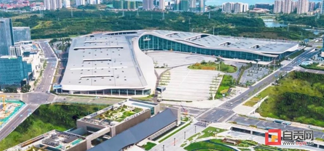 自贡这棵“树”火了！惊艳亮相央视《新闻联播》(图12)