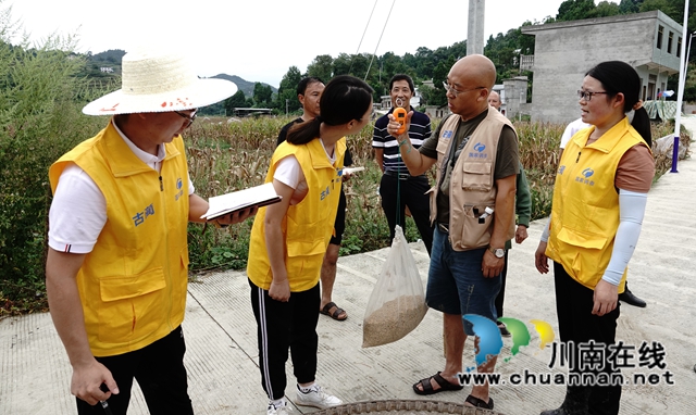 藏粮于地，藏粮于技！国家统计局古蔺调查队“统计开放日”开展实割实测活动(图20)