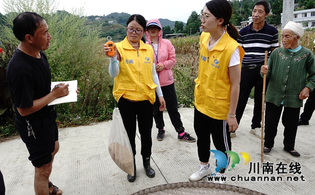 藏粮于地，藏粮于技！国家统计局古蔺调查队“统计开放日”开展实割实测活动(图19)