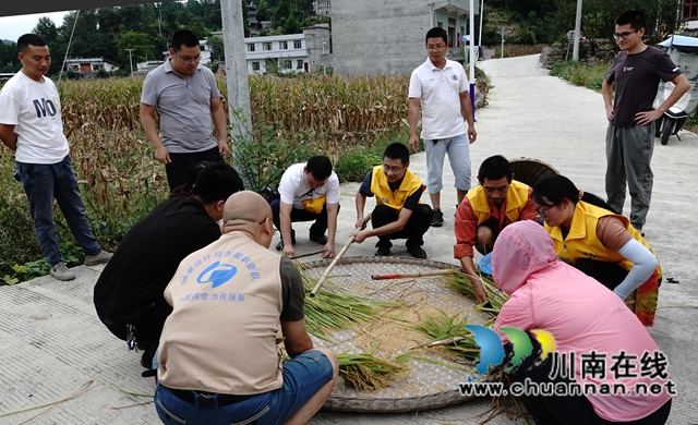 藏粮于地，藏粮于技！国家统计局古蔺调查队“统计开放日”开展实割实测活动(图16)
