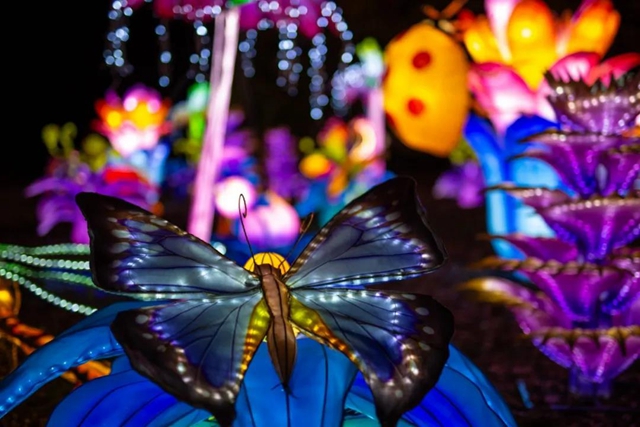 中秋佳节，自贡彩灯全球璀璨盛放！(图6)