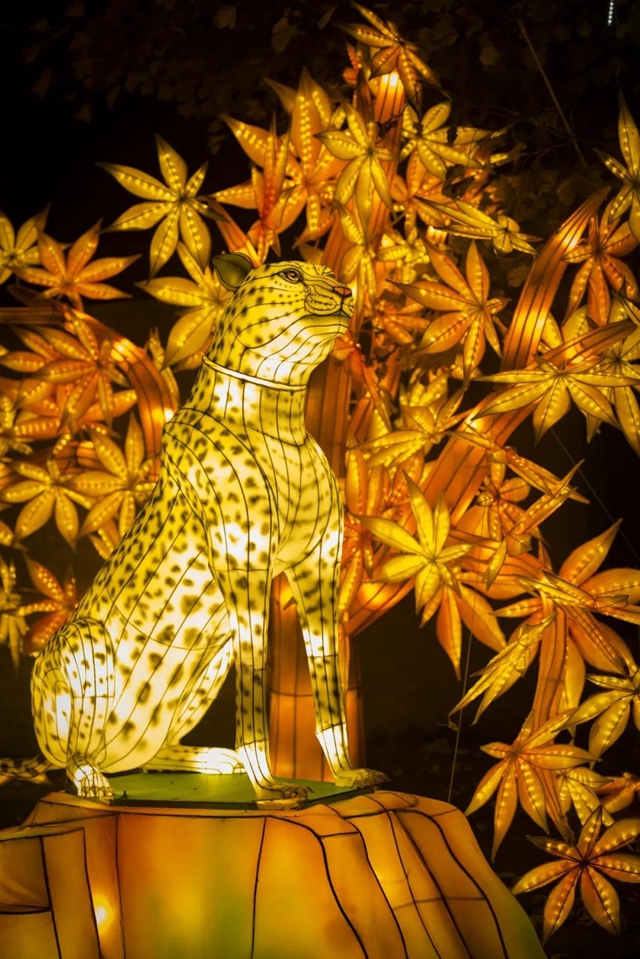 中秋佳节，自贡彩灯全球璀璨盛放！(图8)