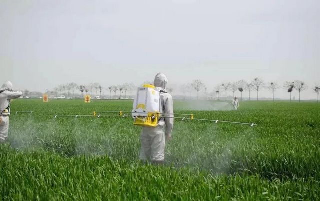 【围观】两爷子误食了“藿香正气水”，中毒了！(图8)