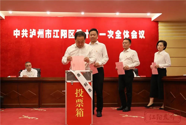 江阳新一届区委领导班子选举产生,杨长缨当选书记(图3) 江阳新一届区委领导班子选举产生,杨长缨当选书记(图3)