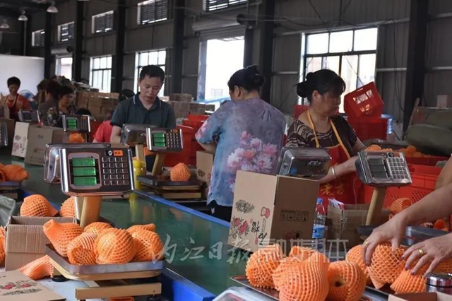 把“甜城味”送向全国！内江又一大型电商集配中心初步建成投用