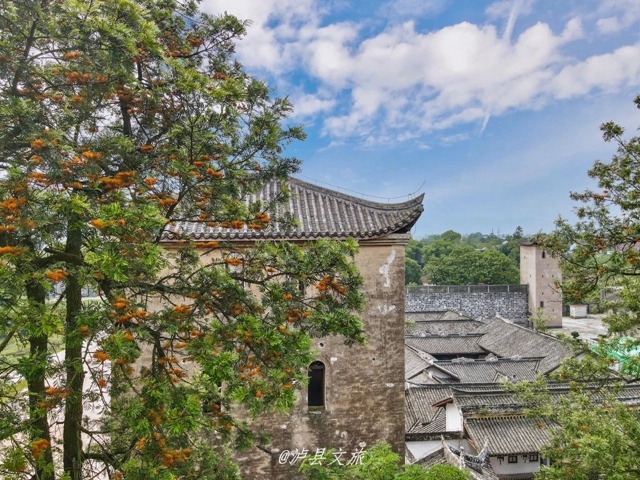 四川公布拟通报表扬名单！泸州这些魅力乡镇、乡土文化能人上榜(图11)