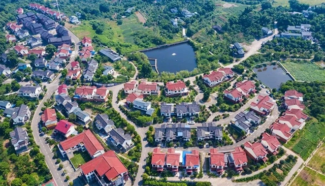 四川公布拟通报表扬名单！泸州这些魅力乡镇、乡土文化能人上榜(图12)