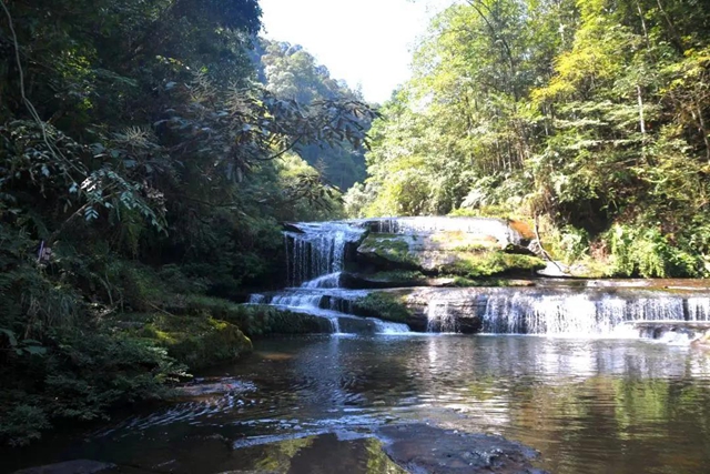 【多图】黄荆老林湿地生态美如画(图20)