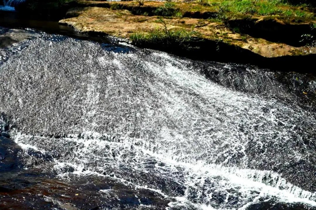 【多图】黄荆老林湿地生态美如画(图13)